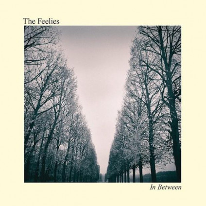 In Between - Feelies - LP