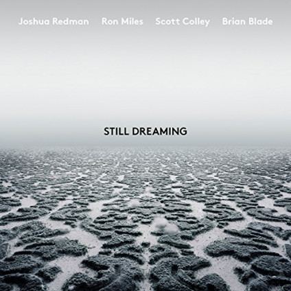 Still Dreaming - Redman Joshua - CD