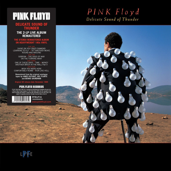 Delicate Sound Of Thunder - Pink Floyd - LP