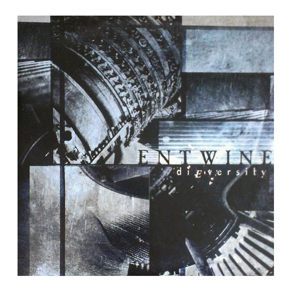 Dieversity - Entwine - CD