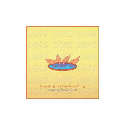 Everything Else Has Gone Wrong (Deluxe Edt. Limited) - Bombay Bicycle Club - LP