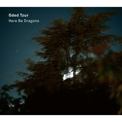 Here Be Dragons - Tzur Oded - LP