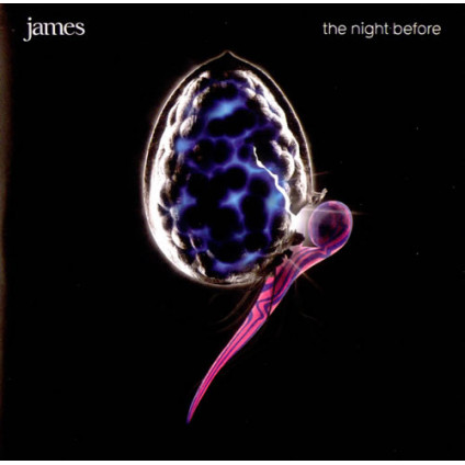 The Night Before - James - CD