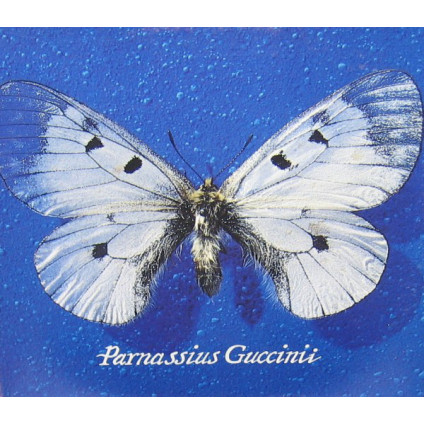 Parnassius Guccinii - Guccini Francesco - LP