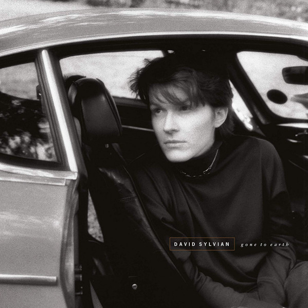 Gone To Earth (180 Gr. Deluxe Black Vinyl) - Sylvian David - LP