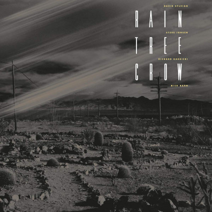 Rain Tree Crow (180 Gr. Deluxe Edt. Black Vinyl) - Rain Tree Crow - LP