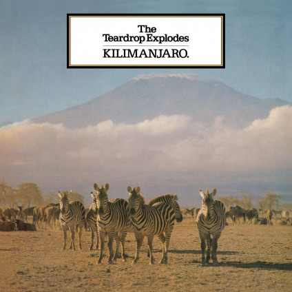 Kilimanjaro - Teardrop Explodes - LP