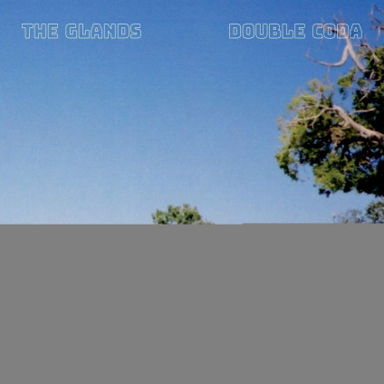 Double Coda - The Glands - LP