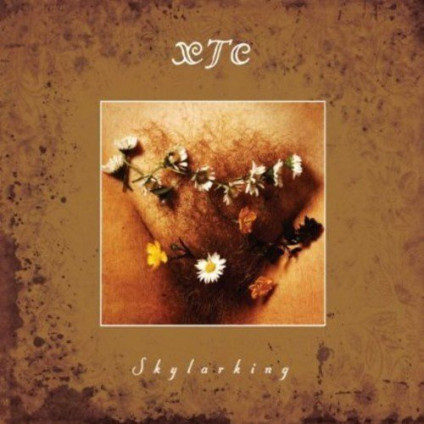 Skylarking (Corrected Polarity Edt.) - Xtc - CD