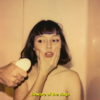 Beware Of The Dogs - Donnelly