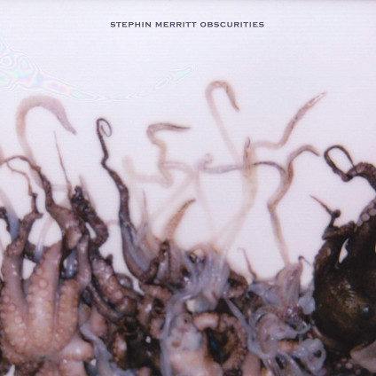 Obscurities - Merritt Stephin - LP