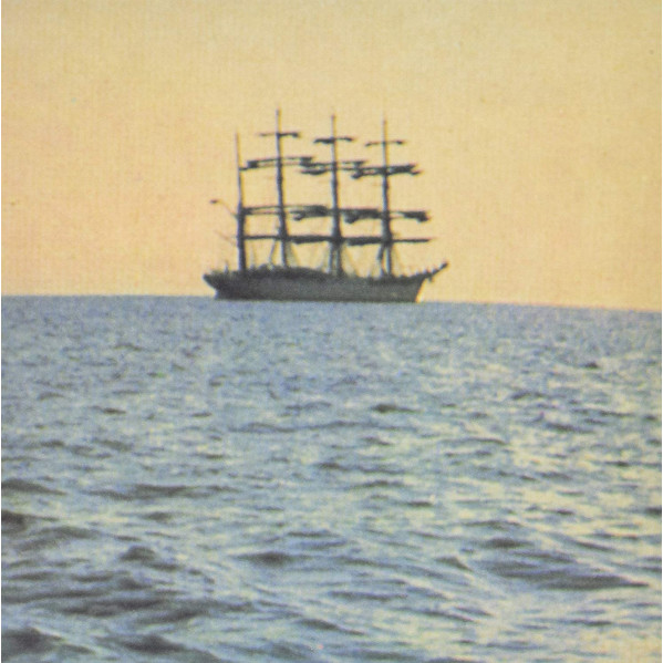 The Doctor Came At Dawn - Smog - LP