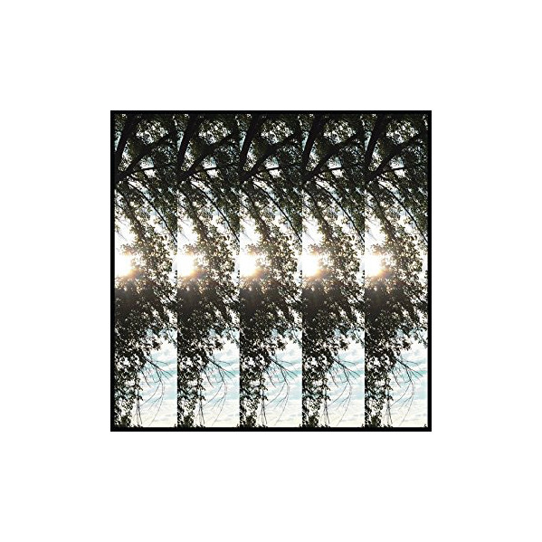 Dialectic Of Ignorance - Pontiak - LP Dialectic Of Ignorance - Pontiak - LP