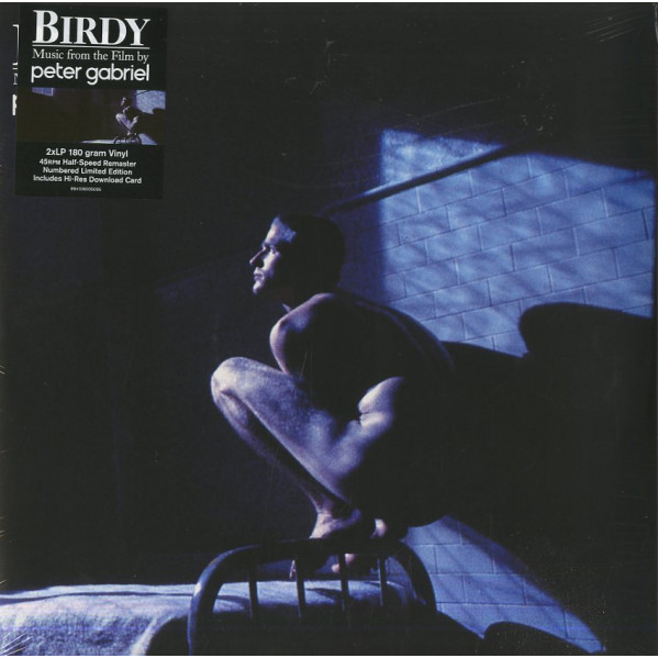 Birdy - Gabriel Peter - LP