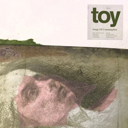 Songs Of Consumption - Toy - CD