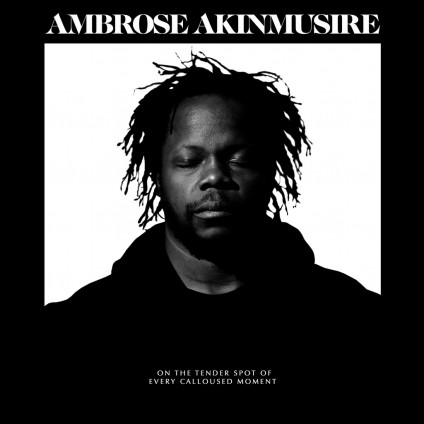 On The Tender Spot Of Every Calloused Moment - Ambrose Akinmusire - CD