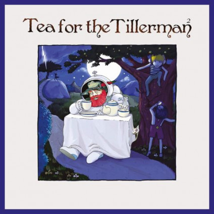 Tea For The Tillerman 2 - Stevens Cat - CD
