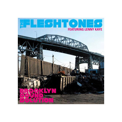Lenny Kaye - The Fleshtones - LP