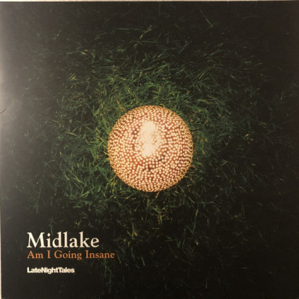 Am I Going Insane - Midlake - 12"