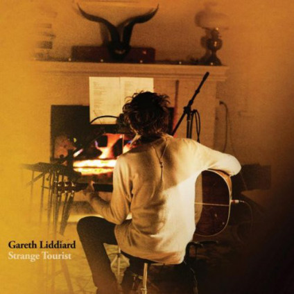 Strange Tourist - Gareth Liddiard - CD