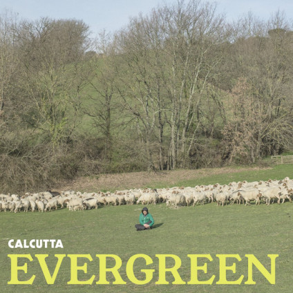 Evergreen - Calcutta - LP