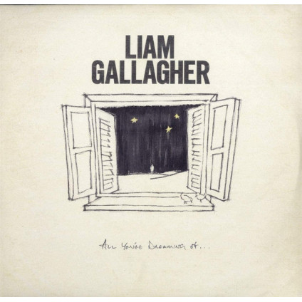 All You're Dreaming Of... - Liam Gallagher - LP