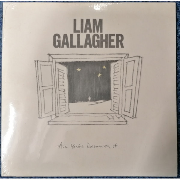 All You're Dreaming Of... - Liam Gallagher - LP