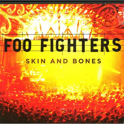 Skin And Bones - Foo Fighters - LP