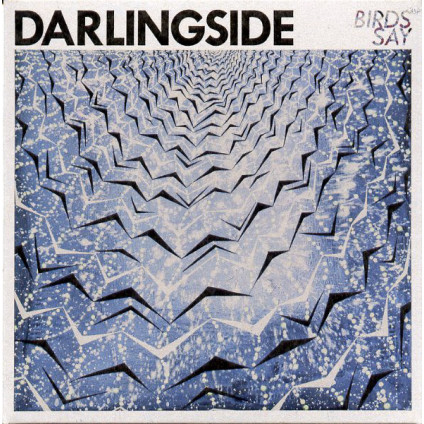 Birds Say - Darlingside - CD