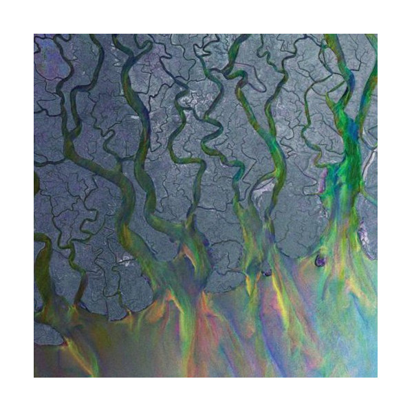 An Awesome Wave (White Vinyl) - Alt-J - LP