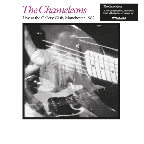 Live At The Gallery Club - The Chameleons - LP