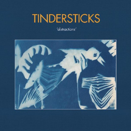 Distractions - Tindersticks - LP