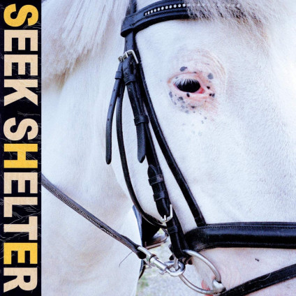 Seek Shelter - Iceage - LP