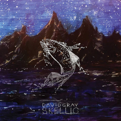 Skellig - David Gray - LP