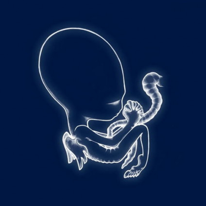 Aegtis Byrjun (Indie Exclusive) - Sigur Ros - LP