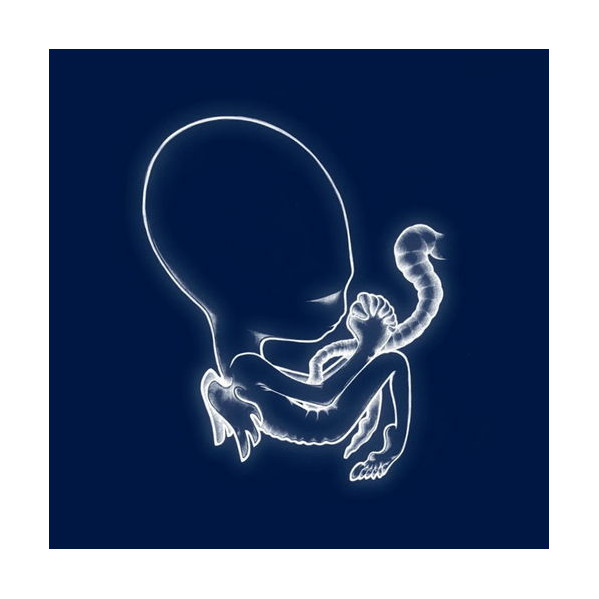 Aegtis Byrjun (Indie Exclusive) - Sigur Ros - LP