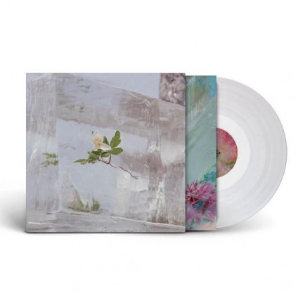 Windflowers (140 Gr. Vinyl Clear) (Indie Exclusive) - Efterklang - LP