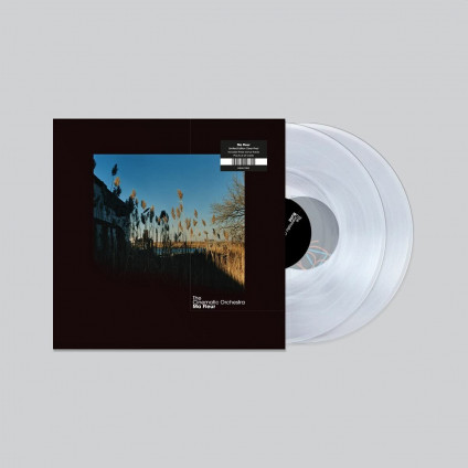Ma Fleur 2021 (Vinyl Clear) - Cinematic Orchestra The - LP