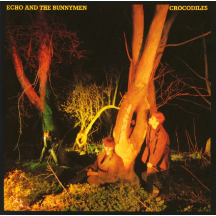 Crocodiles - Echo And The Bunnymen - LP