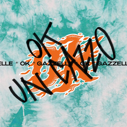 Ok Un Cazzo - Gazzelle - LP