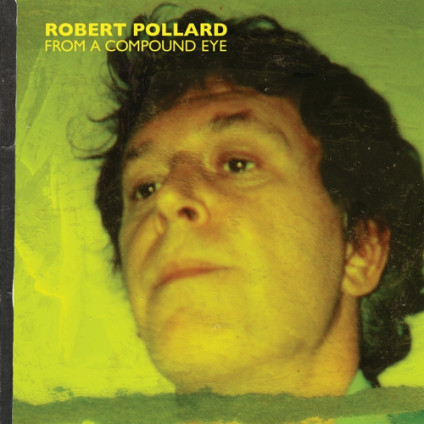 From A Compound Eye - Pollard