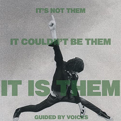 It S Not Them It Couldn'T Be Them. It Is Them - Guided By Voices - LP