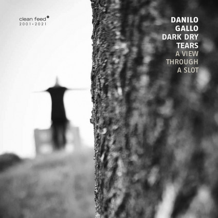 A View Through A Slot - Danilo Gallo Dark Dr - CD
