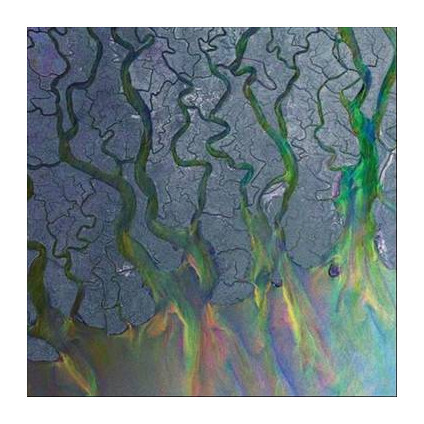 An Awesome Wave - Alt-J - LP