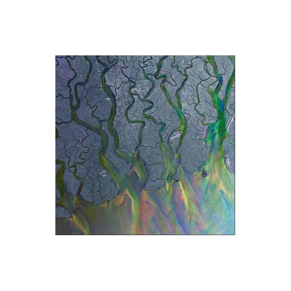 An Awesome Wave - Alt-J - LP