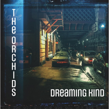 Dreaming Kind - Orchids - LP
