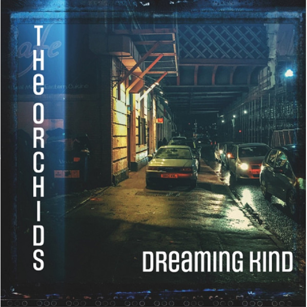 Dreaming Kind - Orchids - LP