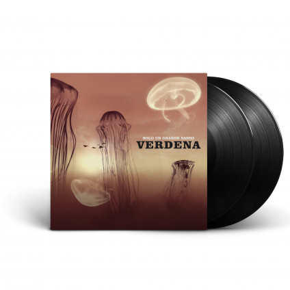 Solo Un Grande Sasso - Verdena - LP