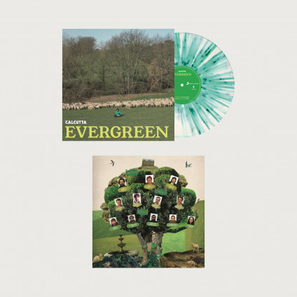 Evergreen (Splatter White+Green) - Calcutta - LP