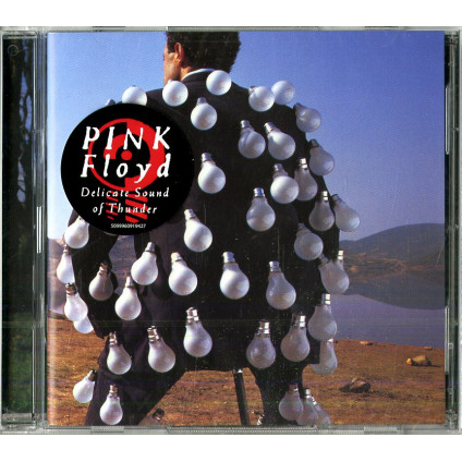Delicate Sound Of Thunder - Pink Floyd - CD